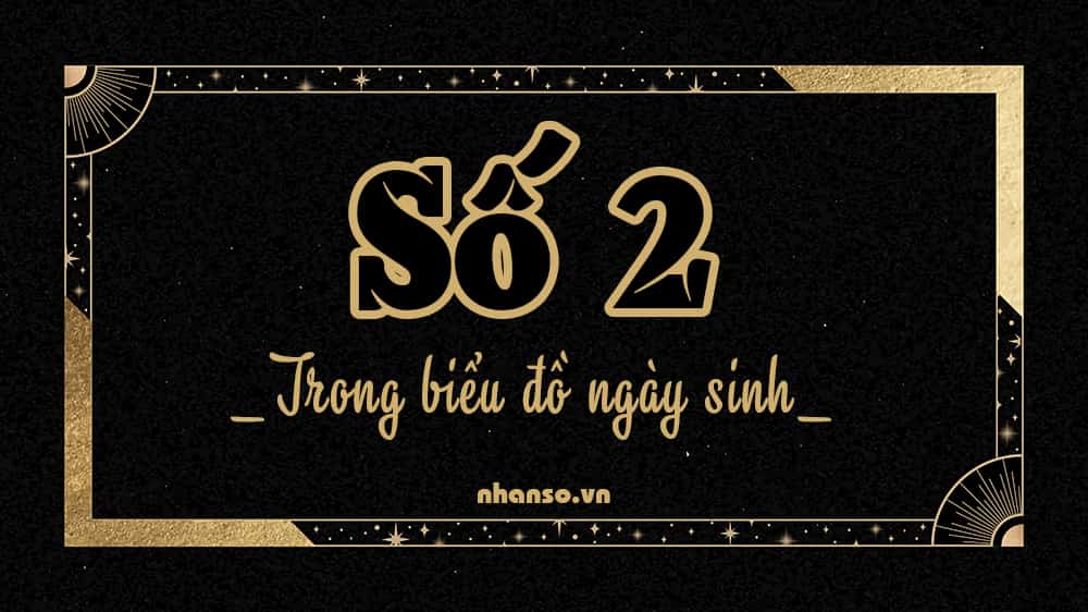 so-2-trong-bieu-do-ngay-sinh