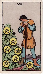 Lá 7 Tiền (Seven of Pentacles)